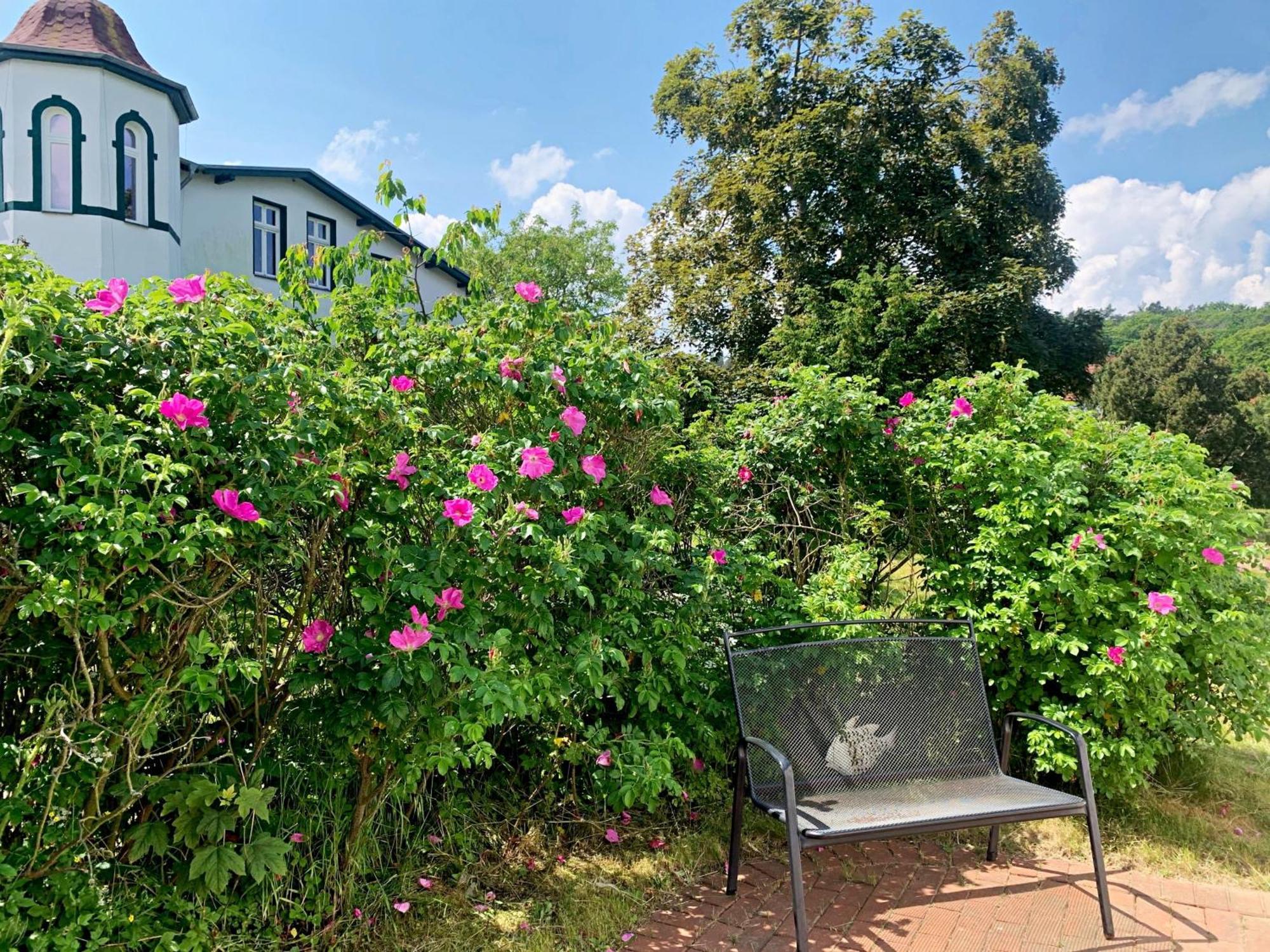 Ferienhaus Erika Heringsdorf Dış mekan fotoğraf
